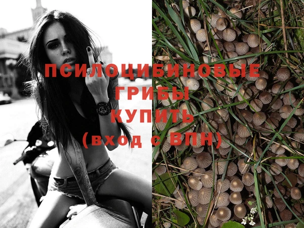 прущая мука Бронницы