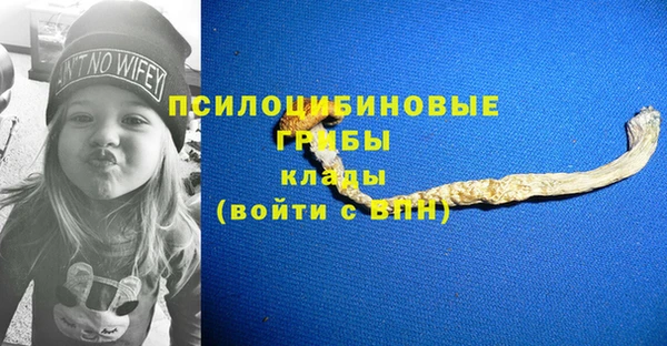 COCAINE Бородино