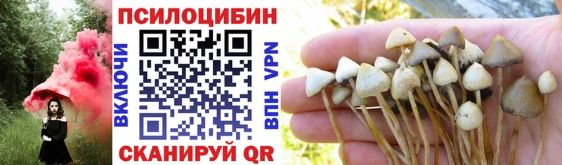 Купить  Галич  Галлюциногенные грибы мухоморы 