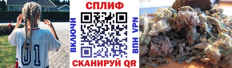 Купить  Галич  Конопля Amnesia 